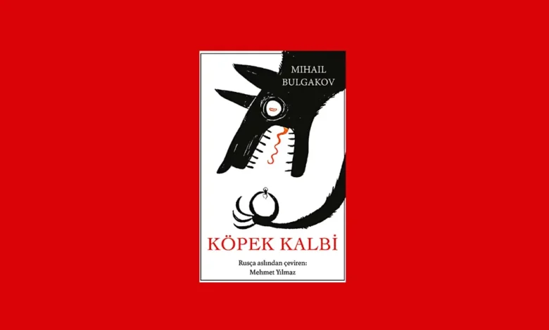 ankara kitap kulübü şubat ayı kitap toplantısı 2024